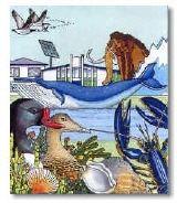 Naturkundemuseum Nes