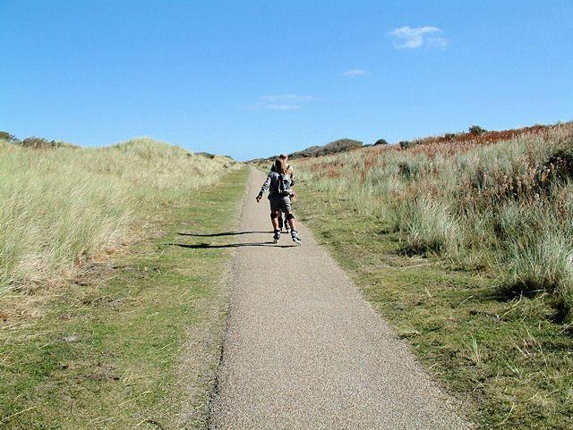Het Oerd auf Ameland