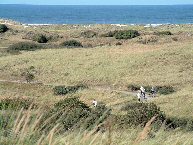 Het Oerd auf Ameland