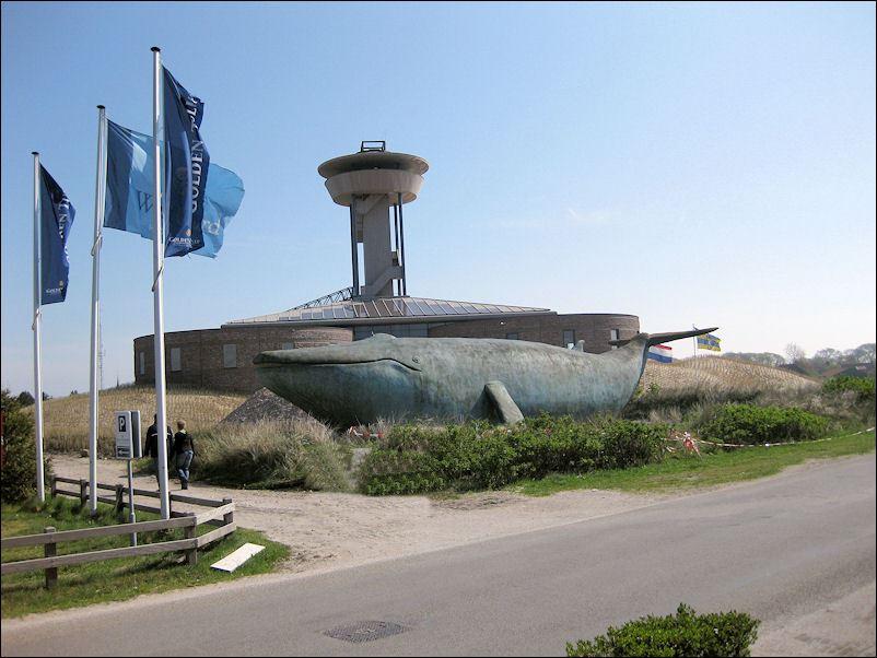 Naturkundemuseum Ameland in Nes