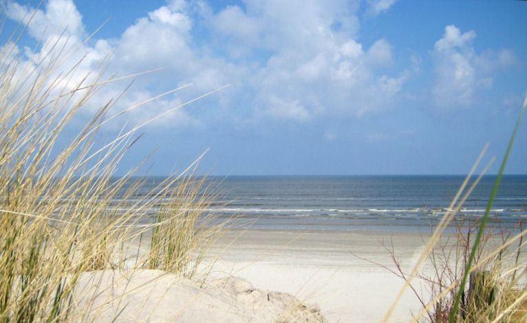 Blick durch die Dünen zum Badestrand