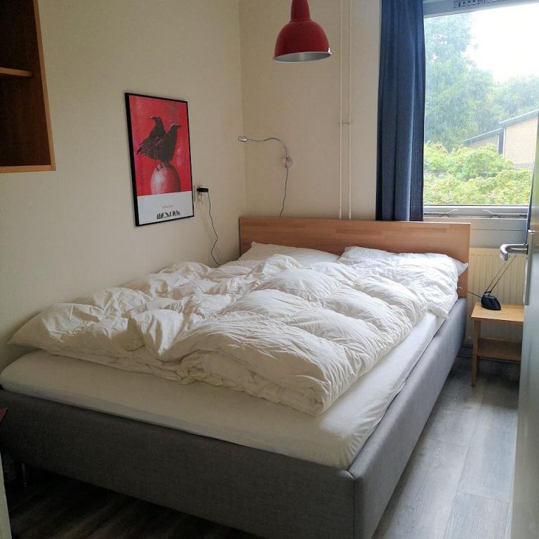 Bungalow Het kleine Paradijs